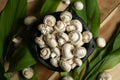 Oyster Mushrooms Premium Pack (250g)